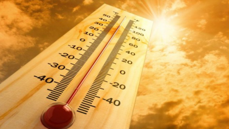 🌦️ Clima en Trelew: cómo estará el tiempo este fin de semana